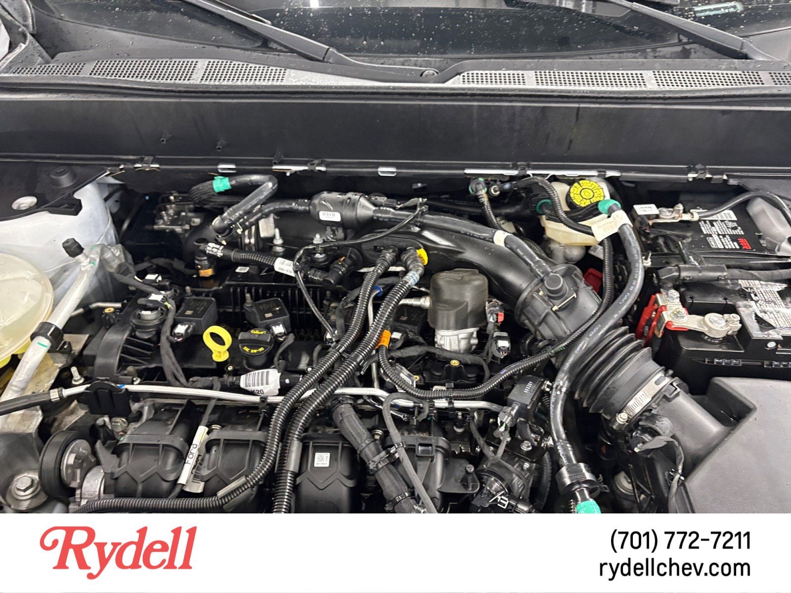 2024 Ford Maverick XLT